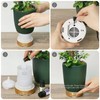 Earnest Living Essential Oil Diffuser Ceramic Artificial Succulent Plants Potted