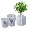 Winter Plant Frost Cover for Shrubs & Potted Trees –