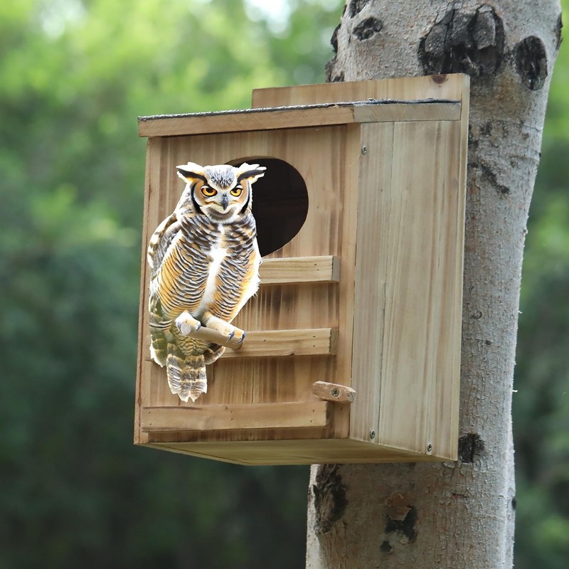 Screech Owl House With Bird Stand - Large Cedar Premium