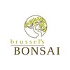 Brussel's Bonsai Live Hawaiian Umbrella Bonsai Tree - Medium, 5