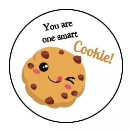 Homemade 30 Teacher smart cookie reward envelope seals, stickers labels, tags, round