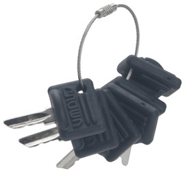 GAOHOU Pack of 6 Forklift Ignition Keys Crown Ignition Key #107151-001& #107151-002 Compatible with Crown Clark Hyster Gradall JLG CAT Pollak Skytrak Yale Electric Forklift