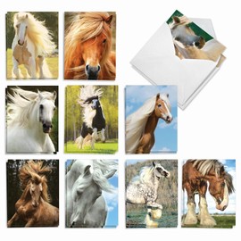The Best Card Company - 20 Assorted Boxed Thank You Note Cards with Envelopes (4 x 5.12 Inch) - Magnificent Manes AM4601TYG-B2x10