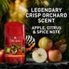 Old Spice Aluminum Free Deodorant for Men, 24/7 Odor Protection,