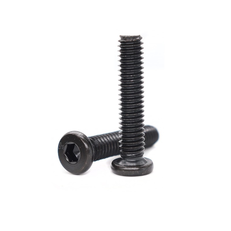 binifiMux 10-Pack Black 5/16-18 x 1 Inch Black Hex Socket