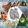 Lifreer Owl Decoy to Scare Birds Away, 3PCS Bird Scare