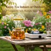 dingdaer Glass Teapot Stovetop 44 oz/1300ml, Borosilicate Clear Tea Kettle,