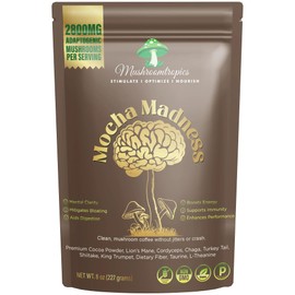 Mocha Madness Organic The Mushroom Coffee by Everyday with Adaptogenic Lion's Mane with 30 Servings for Better Focus, Energy, Digestion and Focus Energy Gut Digestion, Immunity