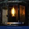FLSNT 2700K Soft White LED Chandelier Edison Bulbs, 100W Equivalent,