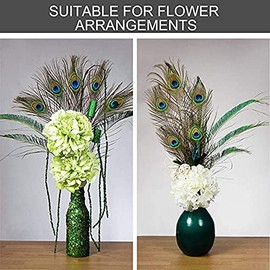 Natural Peacock Feathers with Eye Peacock Tail Feathers 10" - 12" (25-30cm) Perfect for DIY Jewelry Decorative Fittings Wedding Party Arts And Crafts Home Decorations,100 Pcs/lot