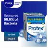 Protex Icy Cool Antibacterial Bar Soap Valuepack 75g x 4