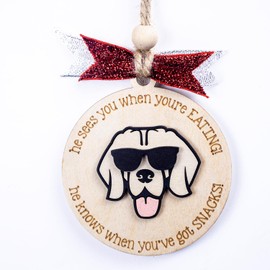 Wooden Christmas Ornament Funny Dog Christmas Ornament Pet Ornament Ornament Christmas Decorations for Tree (O149)