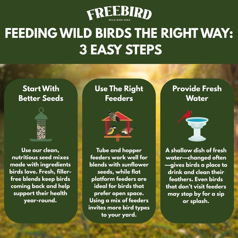 Premium No Mess Bird Seed by Freebird - Peanut Pieces,