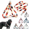 Dog Harness and Leash Set, Pretty Pattern No-Pull Pet Halter