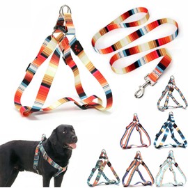 Dog Harness and Leash Set, Pretty Pattern No-Pull Pet Halter Puppy Vest Outdoor Easy Walk for Small Medium Large Breed Pug Bully Mastiff Dogs Female Male, Orange XL