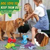 5 Pack Plush Squeaky Dog Toys, Funny Stuffed Animal Tough