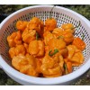 Superhot Seeds 50+ Random SUPERHOT Pepper Seeds. Over 20 Different