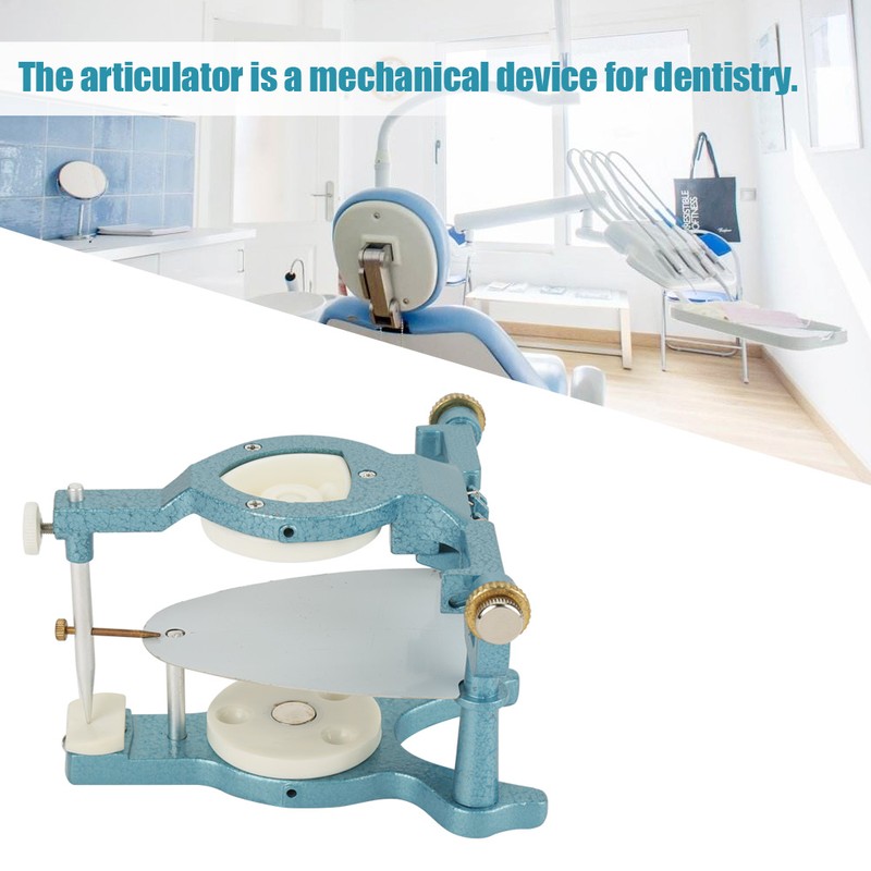 9 in 1 Dental Lab Large Size Full Mouth Adjustable