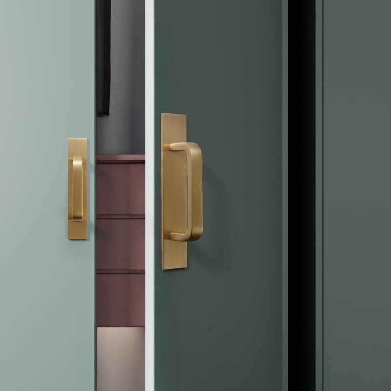 SNBTLA Solid Brass Cabinet Pull with Backplate, 2 Pack Brushed