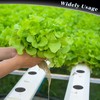 Lallisa 120 Pcs Clone Collars 2 Inch Foam Inserts for