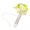 Floating Pool Thermometer for Water Temperature Thermometer for Swimming Pool