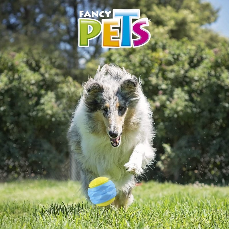 Fancy Pets Pelota Fetch Curvy Color Azul con Sonido para
