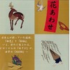Flower Notecards (Japanese Flower Memo/kure-buratto/Illustration: 相沢 康夫