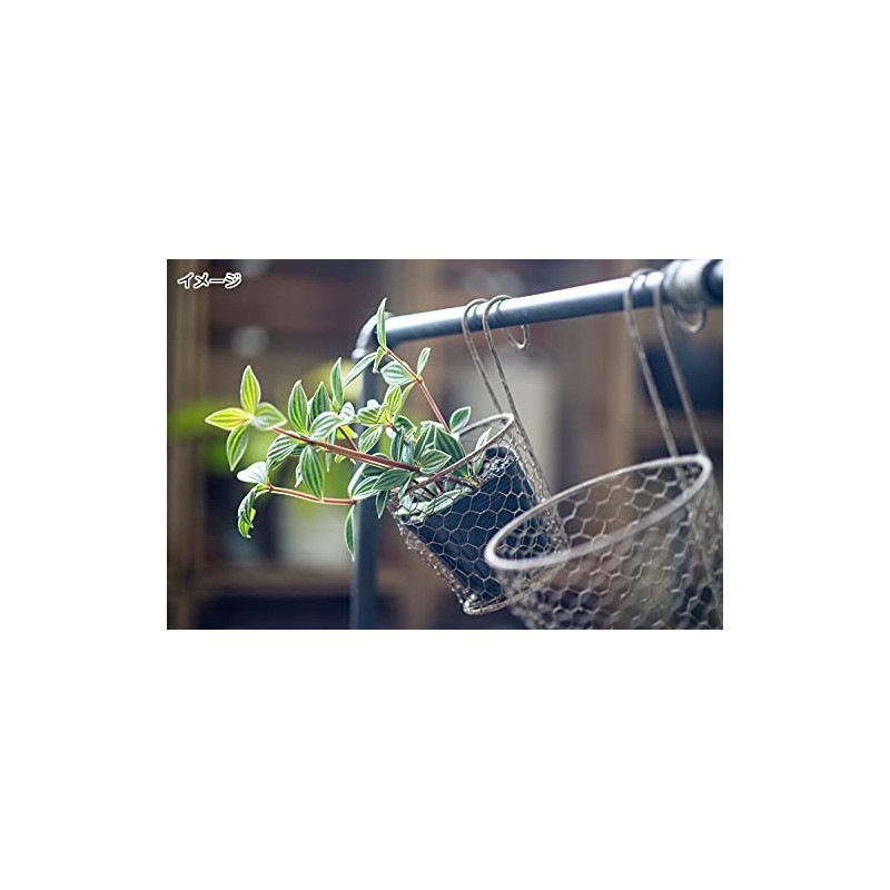 Posh Living 63424 Pot Cover Hanging Pot Cover M Size