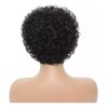 Generic Peluca De Cabello Humano Peluca De Encaje Rizada Negra