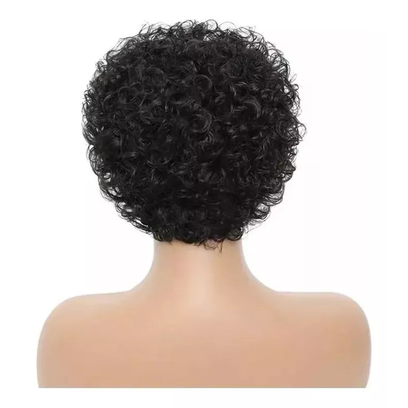 Generic Peluca De Cabello Humano Peluca De Encaje Rizada Negra