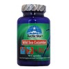 Arctic Star - Sea Cucumber with Vitamin D3 Capsules, Pure