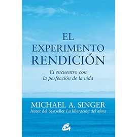 El experimento rendición. El encuentro con la perfección de la vida