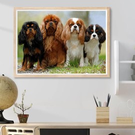 DVWIVGY 5D Diamond Painting by Number Kits Cavalier King Charles Spaniel Pet Dog Animal Cross Stitch Embroidery Rhinestone Picture Art Craft Wall Decor 12 x 16 inch