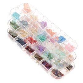 Healvian 12grid Nail Glitter Flakes Shell Flakes Manicure Charm Stickers for Home Salon Use