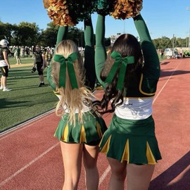 CN 16 PCS Collegiate Style Cheer Bows, Long Tail Skinny Cheer Hair Bows, Elastic Hair Tie Ponytail Holders Teens Girls Cheerleader Sports Competition