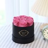 Beaulasting Roses Preserved Roses Box Eternity Roses Real Roses Gifts