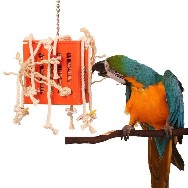 Zoo-Max Crazy Leather Box, Medium
