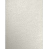 8 1/2 x 11 Cardstock - Gin Fizz Metallic -