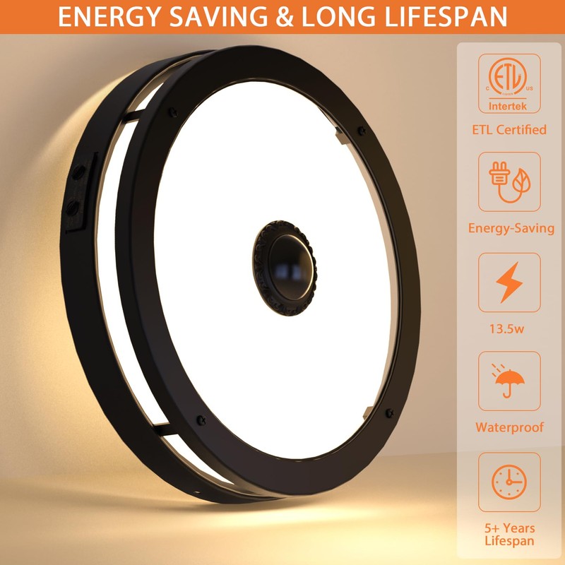 Slypadan Outdoor Motion Sensor Flush Mount LED Light, 12" Dusk