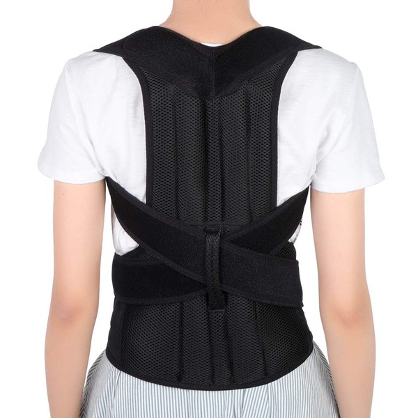 Back Brace Posture Corrector, Adjustable Back Shoulder Lumbar Waist Support Belt for Men and Women, Improve Posture, Prevent Slouching, Pain Relief (L 31"-42")