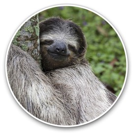 2 x Heart Stickers 10 cm - Sleepy Sloth Lazy Cute Fun Decals for Laptops,Tablets,Luggage,Scrap Booking,Fridges #15836