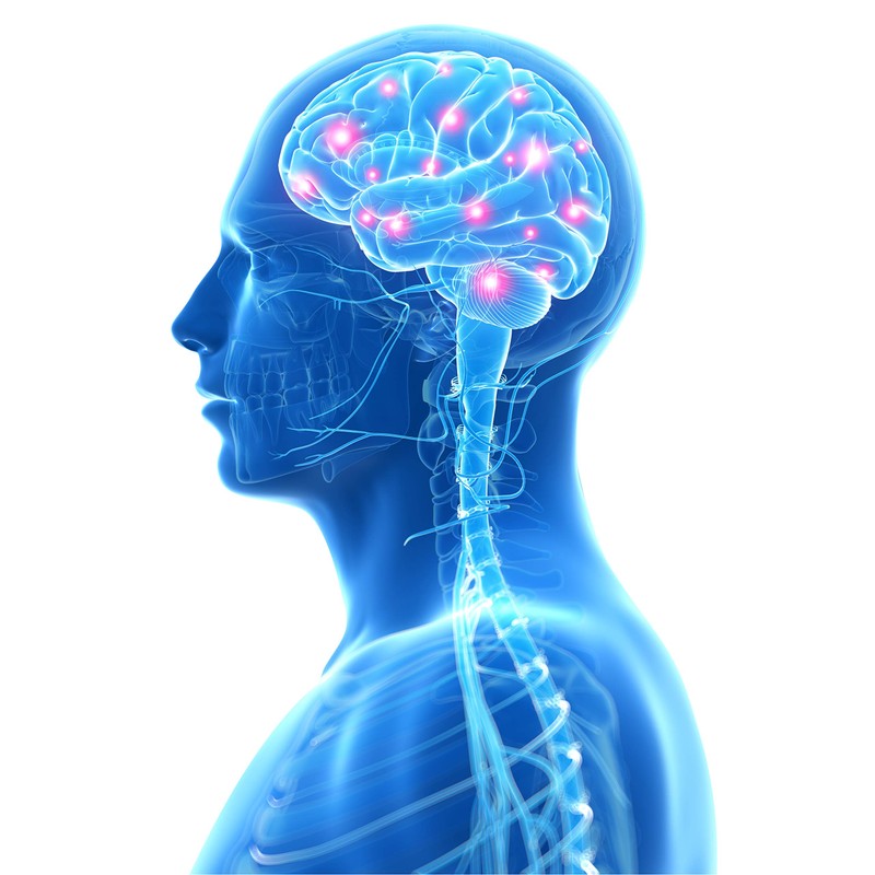 MemoLoges Kapseln, 120 St