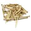 Design61 50x Steel Pins Steel Nails Skirting Board Pins Nail