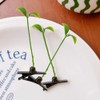 10pcs Little Grass Hair Clips Cute Grass Hair Clips Hairpiece