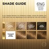 L'Oreal Superior Preference 6-1/2G Lightest Golden Brown Hair Color 1