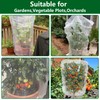 Alpurple Insect Bird Barrier Netting Mesh with Drawstring - Garden