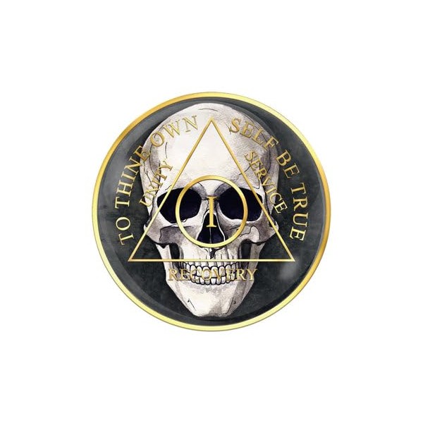 1 Year AA Medallion Skull Black Tri-Plate Sobriety Chip Serenity