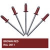 Pack of 50 Painted Blind Rivets 3.2 x 8 mm,