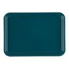 Cam Tray (FRP) 57 Teal/62-6520-23