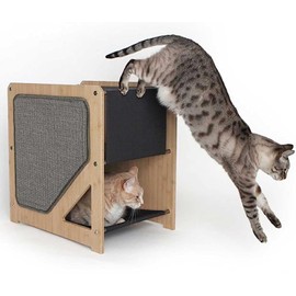 Catastrophic Creations The Grotto Cat Tree – Includes Cat Shelves, Cat Scratcher Poles & Cat Hammocks – Cat Activity Trees w/3 Seclusions – Lounging & Scratching Cat Tower for Indoor Cats